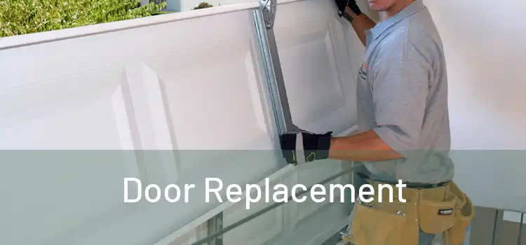  Door Replacement 